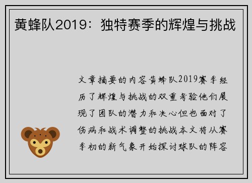 黄蜂队2019：独特赛季的辉煌与挑战